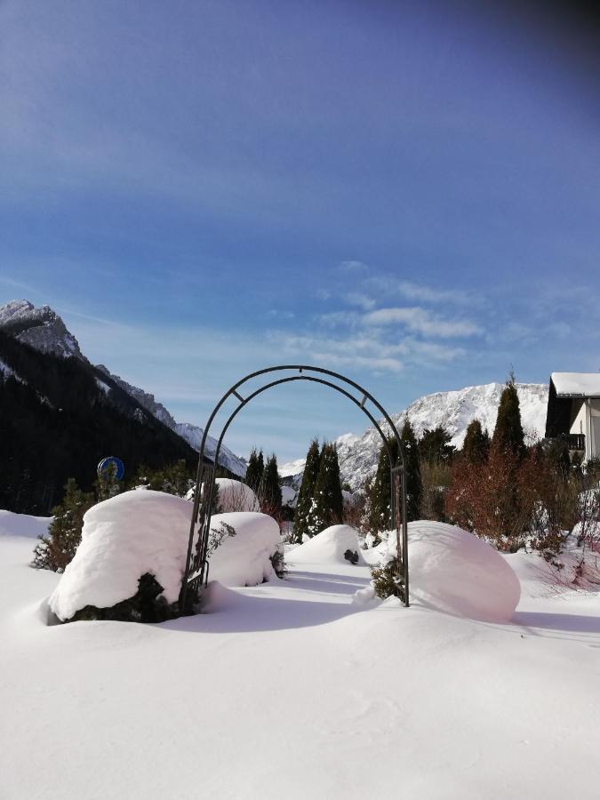 Fruehstueckspension Seeberghof Seewiesen 외부 사진